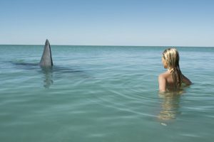 Girl (8-10) facing Great white shark, fin breaking surface of sea