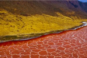 lake-natron-original-1312