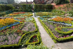 new-place-elizabethan-knott-garden-on-the-site-of-william-shakespeare-AAFRKY