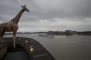 A life-size replica of a giraffe overlooks Merwede river from a full scale replica of Noah’s Ark which opened its doors in Dordrecht, Netherlands, Monday Dec. 10, 2012, after receiving permission to receive up to 3,000 visitors per day. Stormy weather could do nothing to dampen the good mood of its creator, Dutchman Johan Huibers: in fact, the rain was appropriate. For those who don’t know or remember the Biblical story, God ordered Noah to build a boat massive enough to save animals and humanity while God destroyed the rest of the earth in an enormous flood. (AP Photo/Peter Dejong)