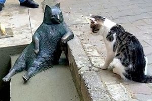 laid-back-cat-statue-tombili-istanbul-3