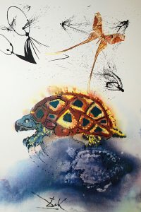 turtle_pages