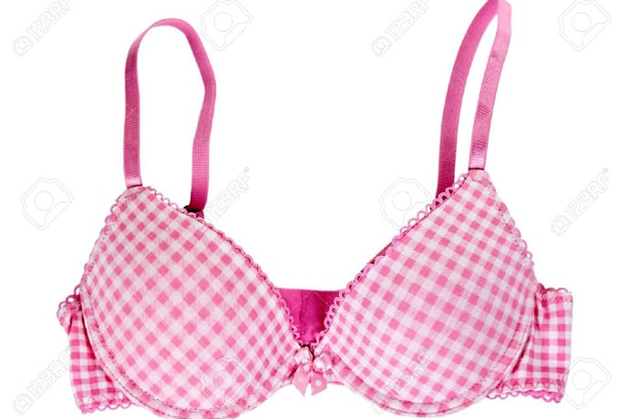 10251993-red-checkered-bra-isolated-on-a-white-background-stock-photo-bra-pink-lingerie