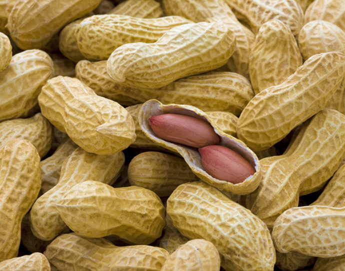 Peanuts