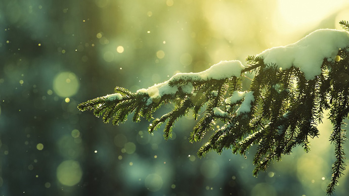 18684815-snowy-tree-bokeh_fullhdwppcom_-1478177453-1000-11125d52d3-1478263734