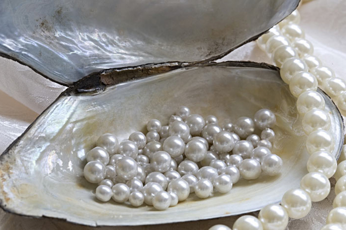 Oyster and pearls